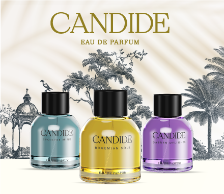 CANDIDE - SIVOP